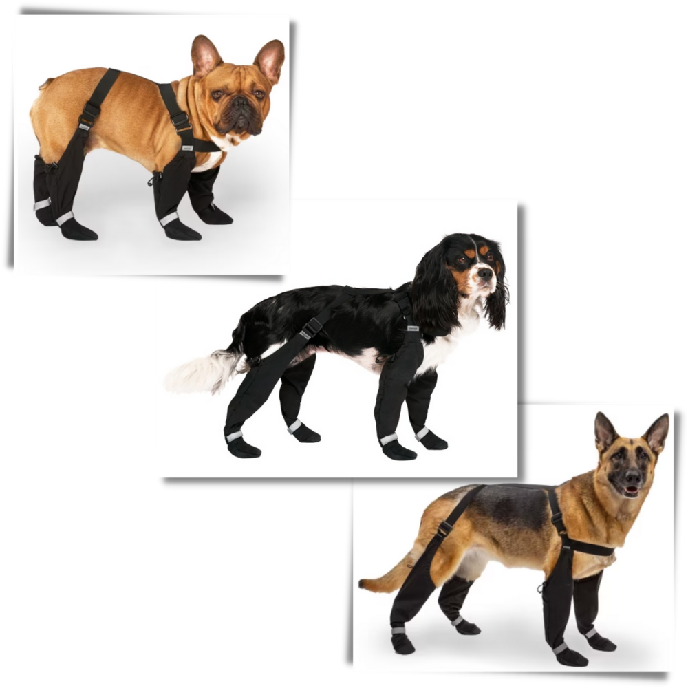 Waterproof Dog Suspenders Boots - Ozerty
