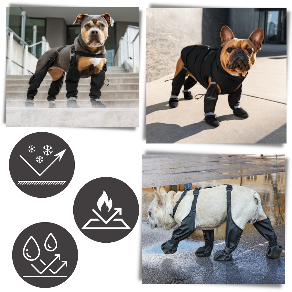 Waterproof Dog Suspenders Boots - Ozerty